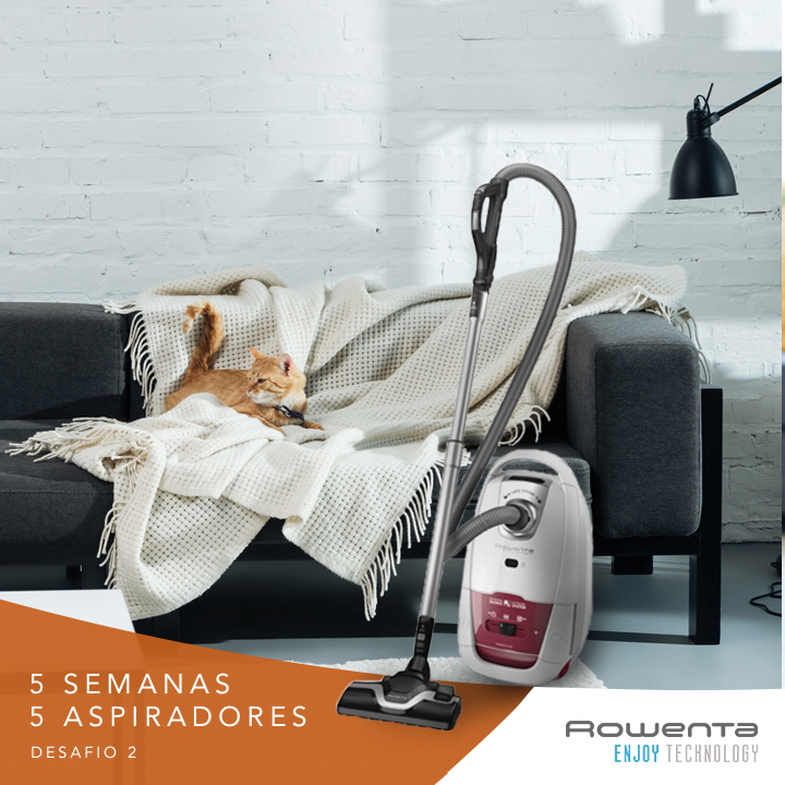 74490723_3397378706969579_3509146382873133056_n.pn