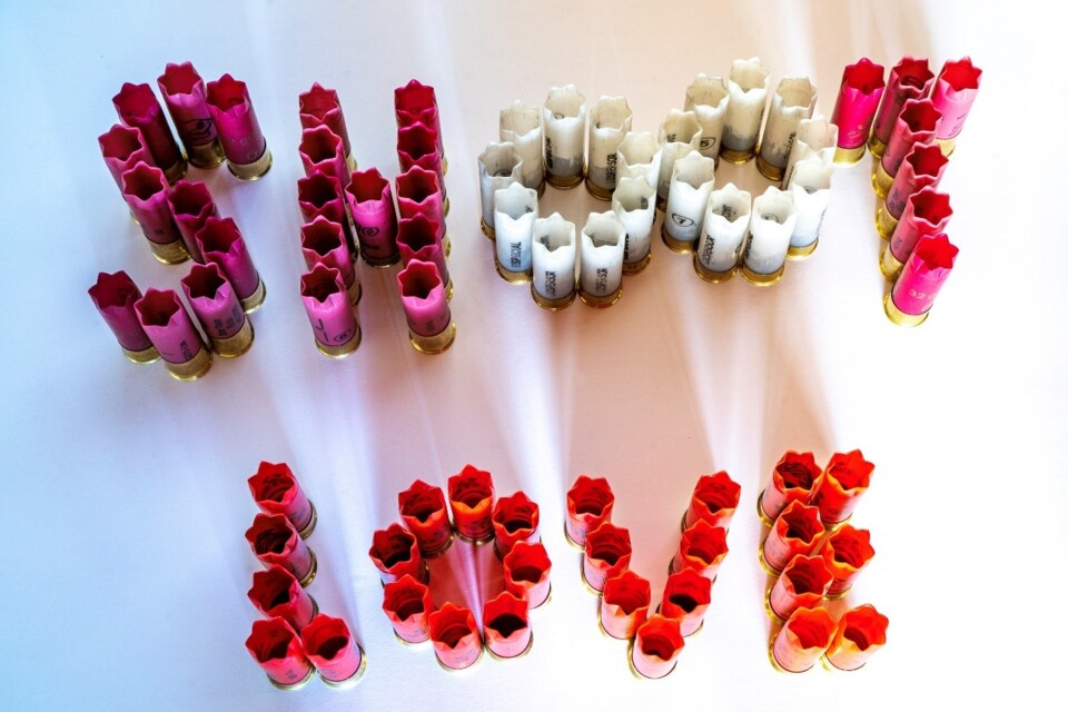 Exposição Shoot Love.jpg