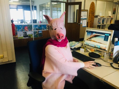 53212875_2322186131134644_5953228931757768704_n.jp 53212875_2322186131134644_5953228931757768704_n.jp