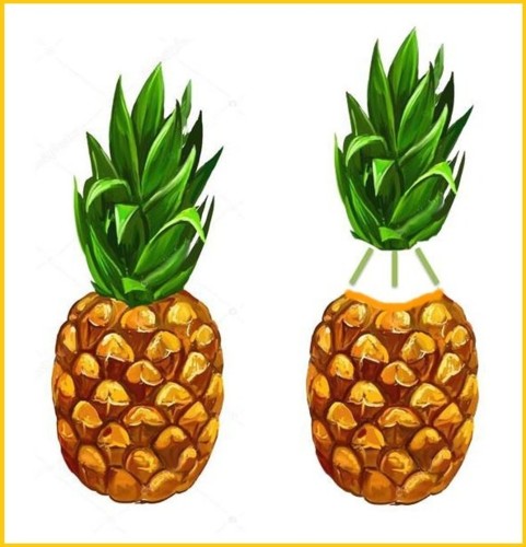 idieias.jpg idieias.jpg