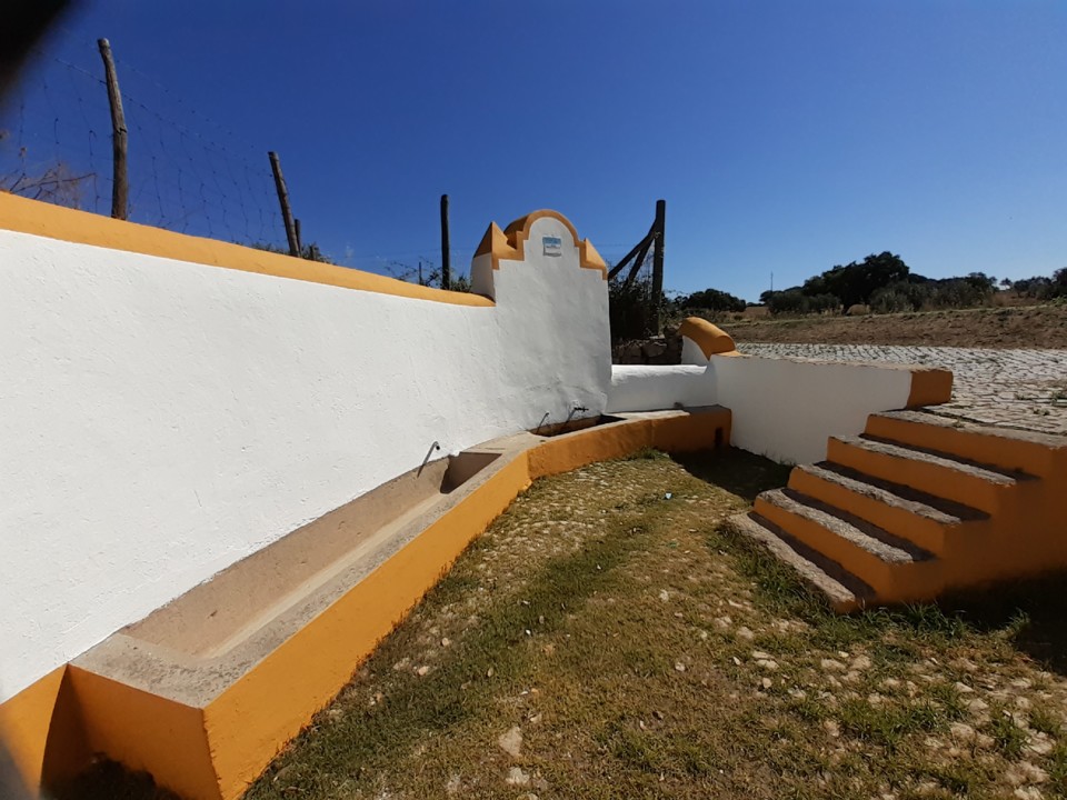 Fonte e tanque. Foto original. 2021.07.09.jpg