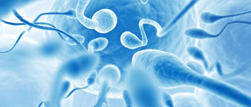 infertilidade masculina.jpg