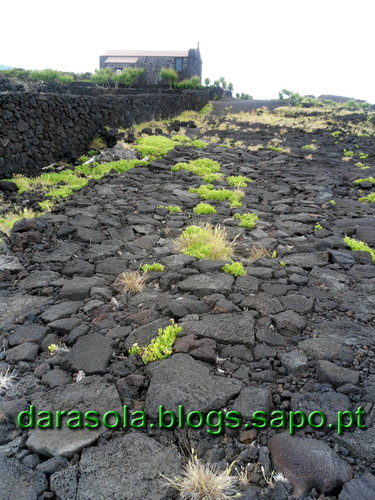 azores_pico_lajido_13.JPG