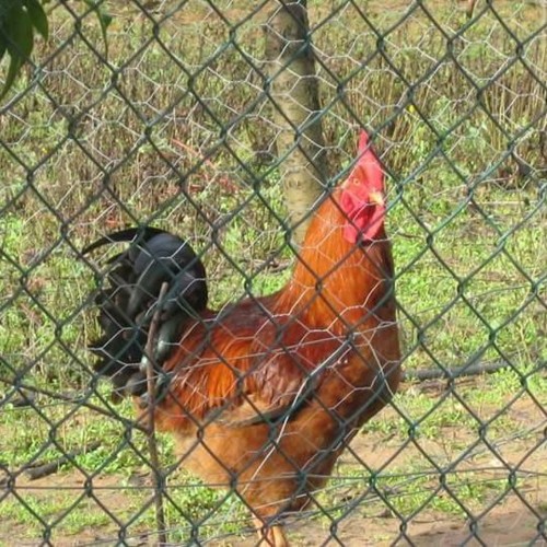 23842261_1504920652957094_7781512654723481600_n.jp