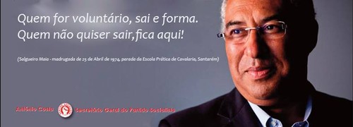 salgueiro2.jpg
