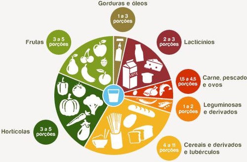 P23-alimentos[1].jpg
