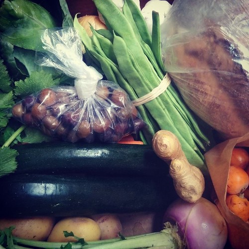 13179164_704411419698622_1534153410983909184_n.jpg 13179164_704411419698622_1534153410983909184_n.jpg