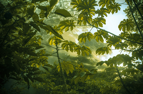 Screen Shot 2016-07-01 at 17.58.23.png