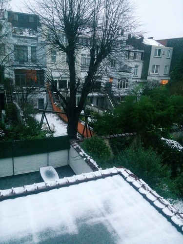 IMG_20160115_084008.jpg IMG_20160115_084008.jpg