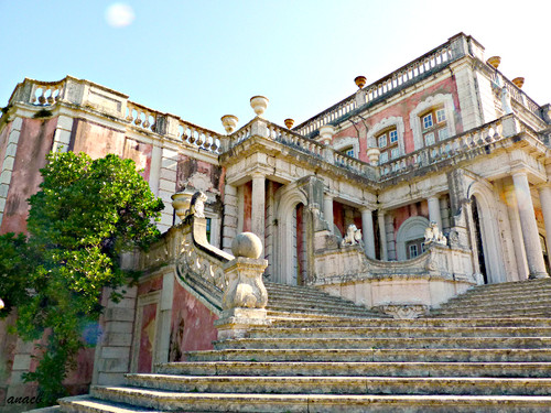 P1360626 cópia assin.jpg