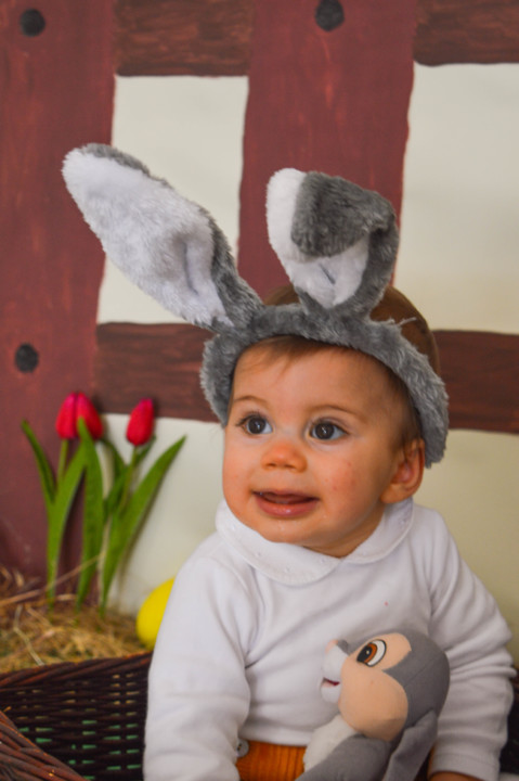 DSC_0232.jpg DSC_0232.jpg