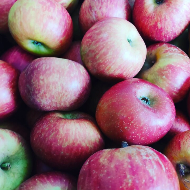 437909016_817318897092189_8901956084409174997_n.jp