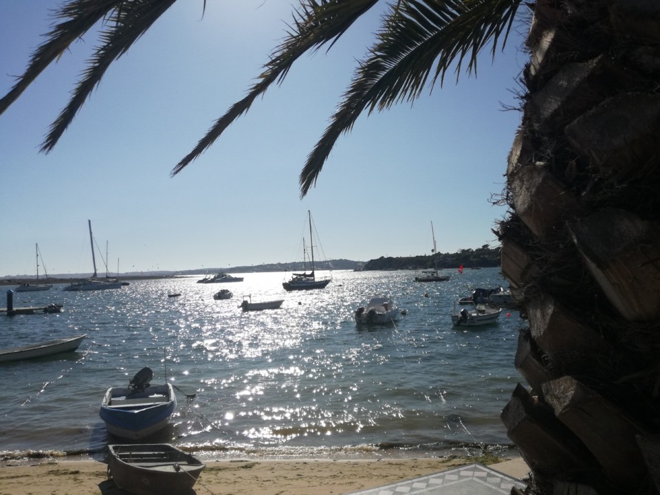 IMG_20190816_174008.jpg IMG_20190816_174008.jpg