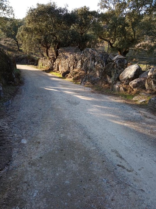 Caminho Fonte Pulhas  JFAM 2020.jpg