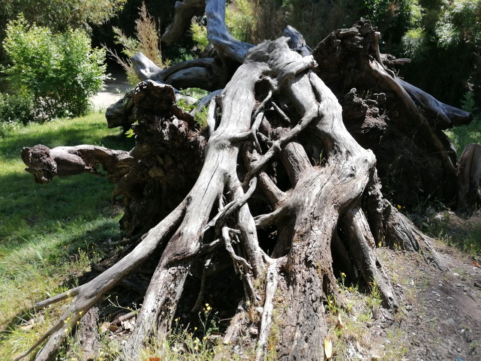 IMG_20210603_105053.jpg IMG_20210603_105053.jpg