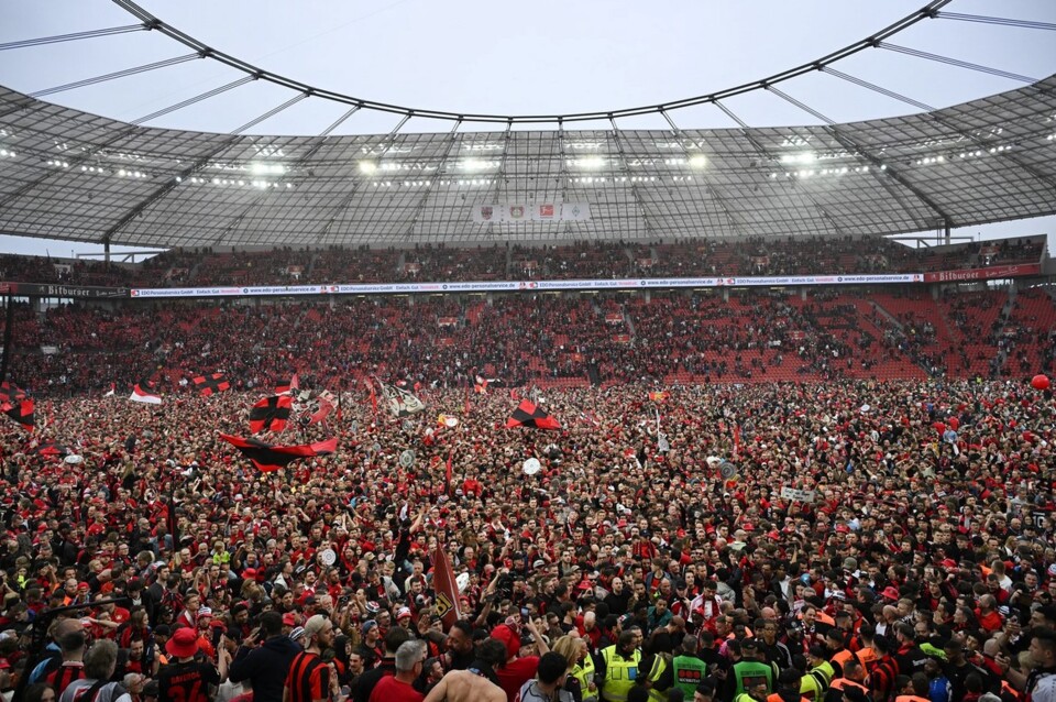 Bayer 03.jpg