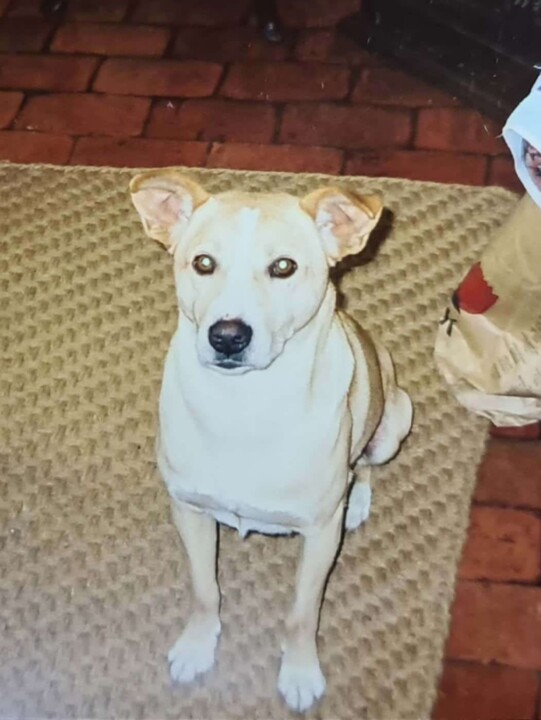 CamScanner 04-17-2021 23.49_9.jpg