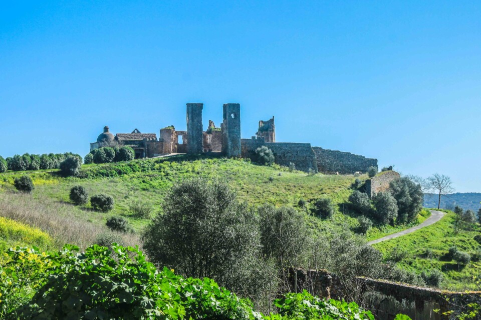 castelo de montemor 25.jpg
