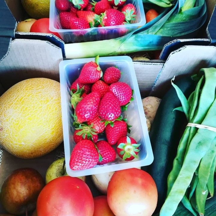 57456899_1358643520942072_7272758531378380800_n.jp