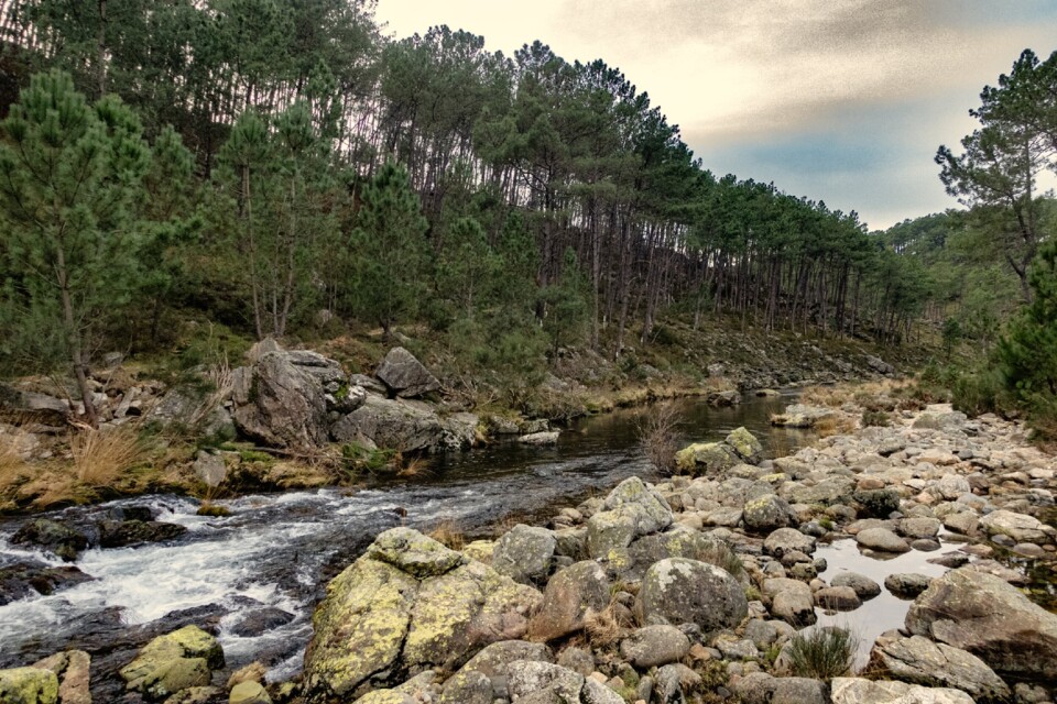 Miradouro Fiscal de Ermelo4.jpg