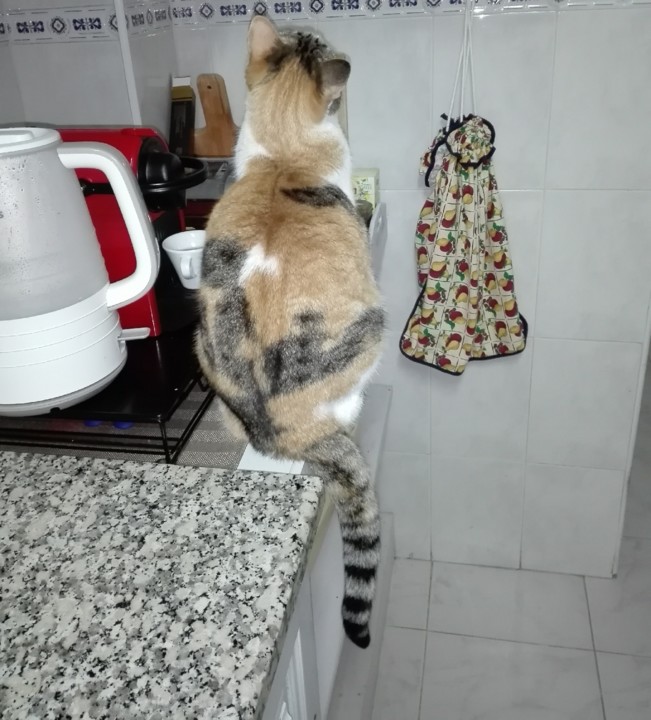 IMG_20190425_213559.jpg IMG_20190425_213559.jpg