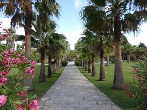 13a_Quinta_do_Mourão_e_outros _Lugares (215).JPG