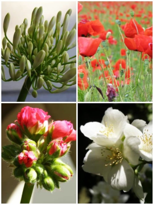 IMG_20190617_002239.jpg IMG_20190617_002239.jpg