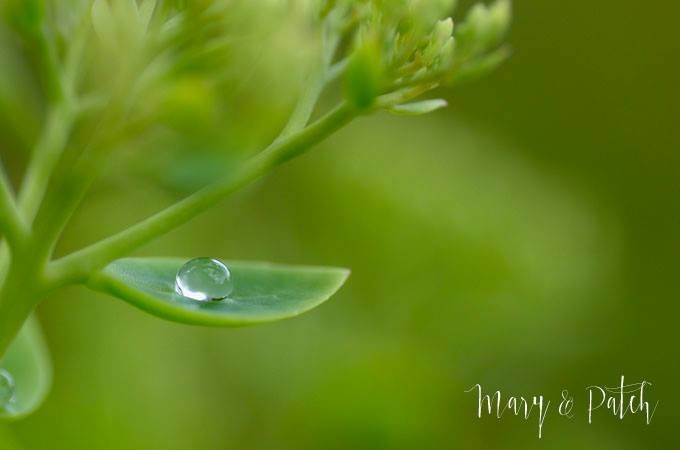 “Um amor mais forte que tudo, mais obstinado que