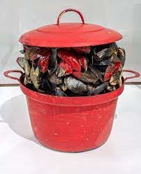 MB mexilhões.jpeg MB mexilhões.jpeg