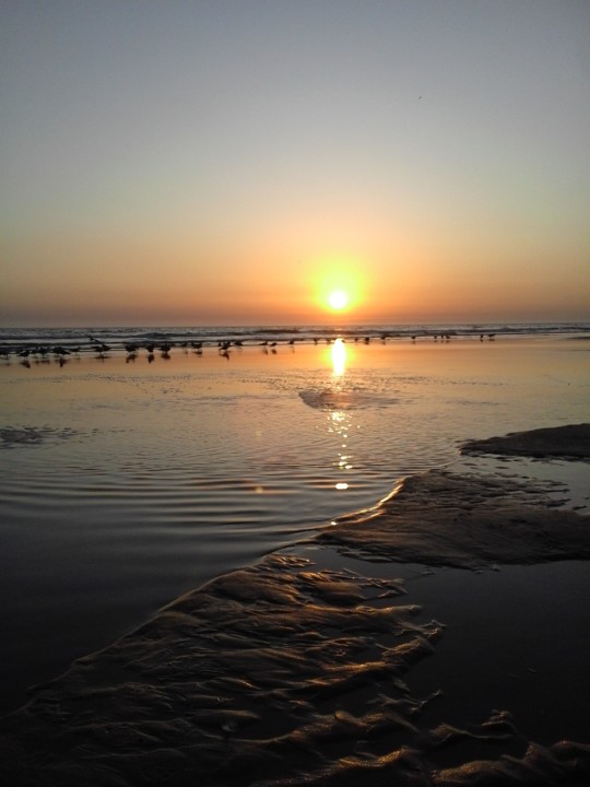 Costa Caparica. Foto Original. 2019. 09. jpg