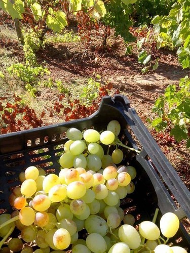 22008368_971768376296257_7037873489726285816_n.jpg 22008368_971768376296257_7037873489726285816_n.jpg