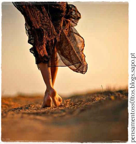 Caminhos Traçados.jpg