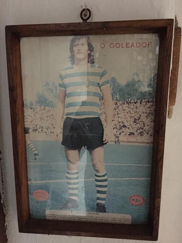 13335778_10154117379238805_3093847654480509987_n.j