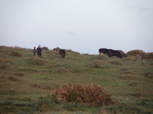 marrocos 2015 158.JPG