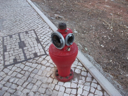 DSCF4201.JPG DSCF4201.JPG