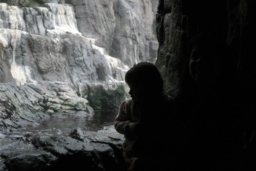 oceanário.JPG oceanário.JPG