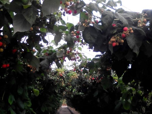 14563592_777316762408087_4634830891400693124_n.jpg 14563592_777316762408087_4634830891400693124_n.jpg