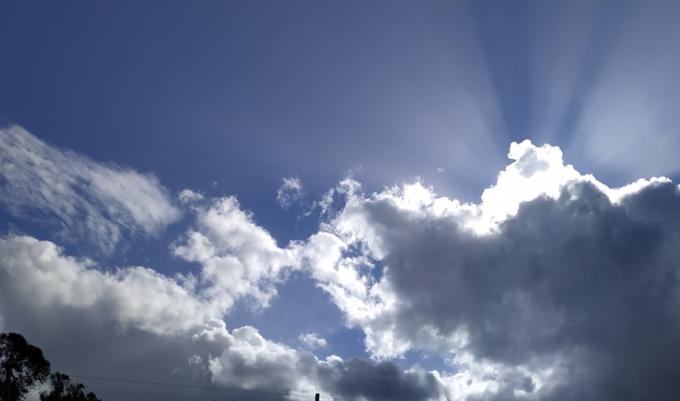 IMG_20201229_130011~3.jpg IMG_20201229_130011~3.jpg