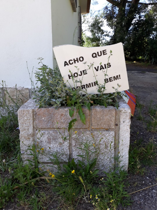 20200607_171242.jpg 20200607_171242.jpg