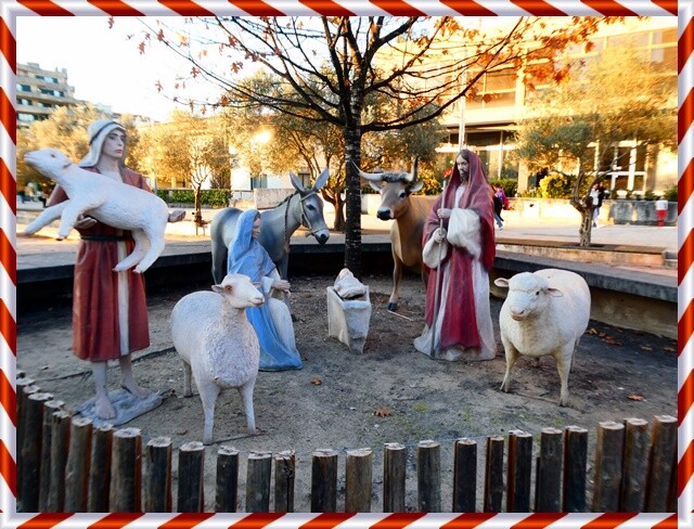 24c_Natal_OAz (3).JPG