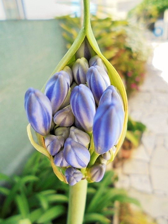 ...Do lado de dentro....jpeg