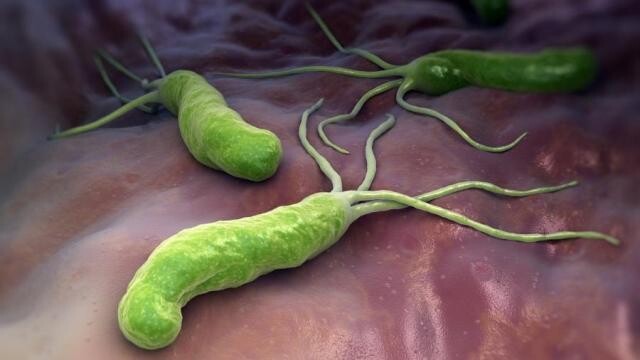 helicobacteria-h-pylori-1631127678842_v2_900x506.j