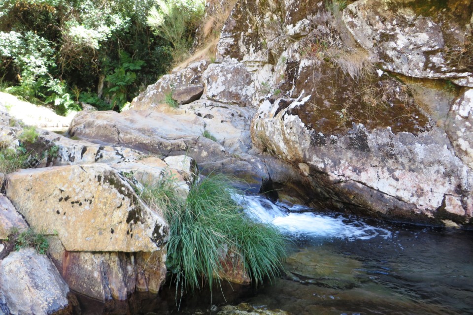 IMG_3533.JPG IMG_3533.JPG