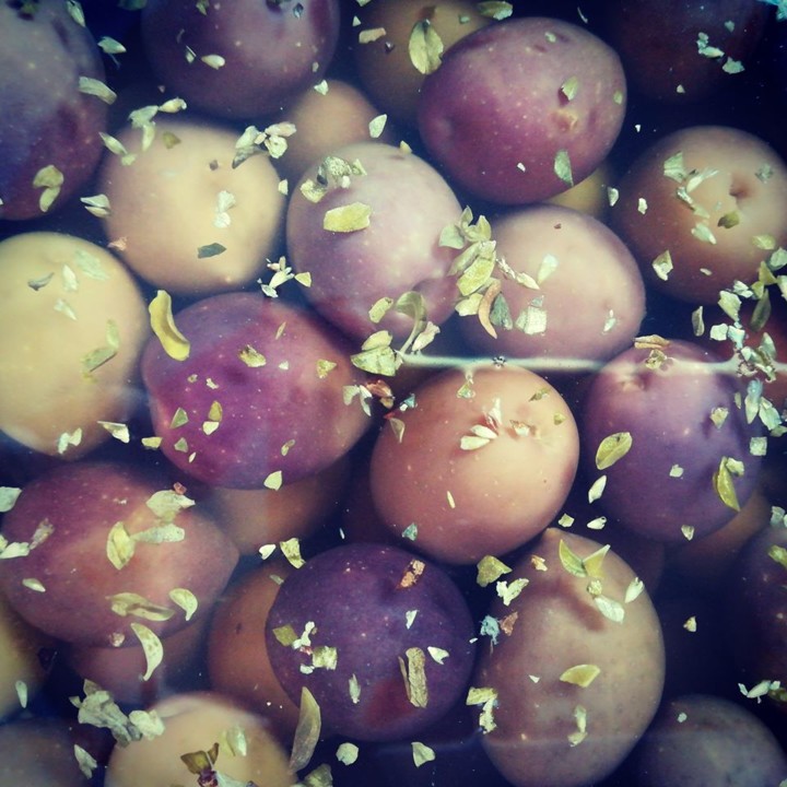 82397783_1588416314631457_5287298448696016896_o.jp 82397783_1588416314631457_5287298448696016896_o.jp