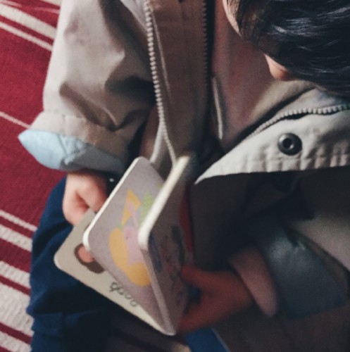 livros para bebés livros para bebés