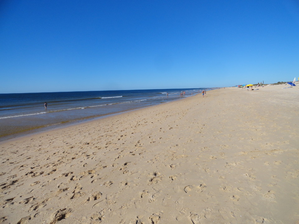 DSC02060.JPG DSC02060.JPG