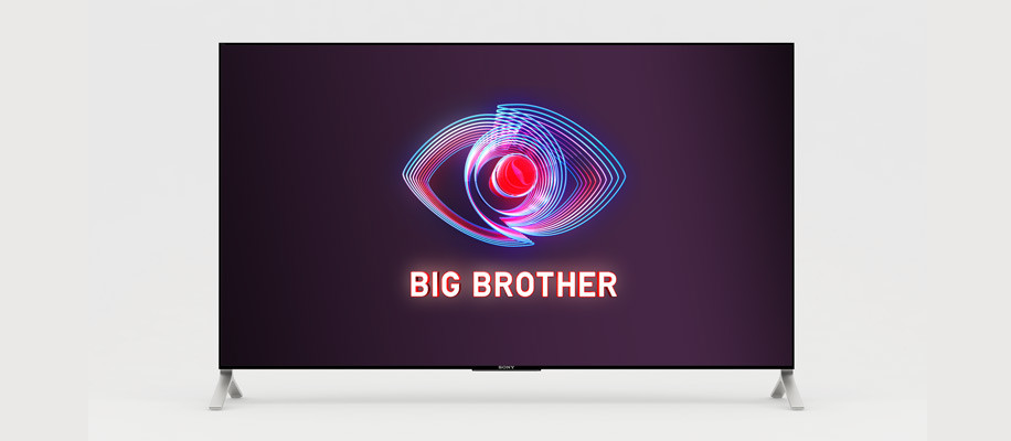big brother 2020.jpg