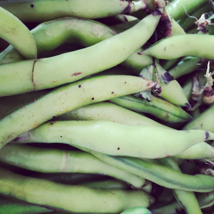 155016713_1960189157454169_662708376172533031_o.jp