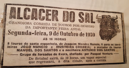 Notícia de Alcácer do Sal..png