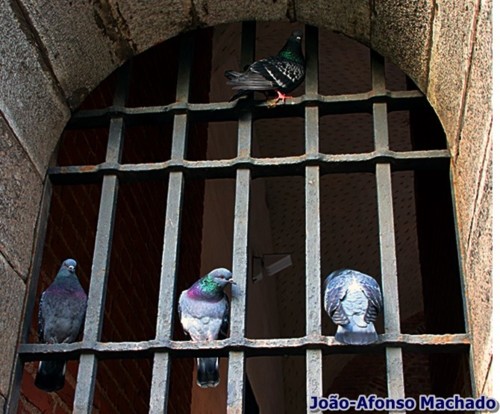 IMG_0454.JPG IMG_0454.JPG